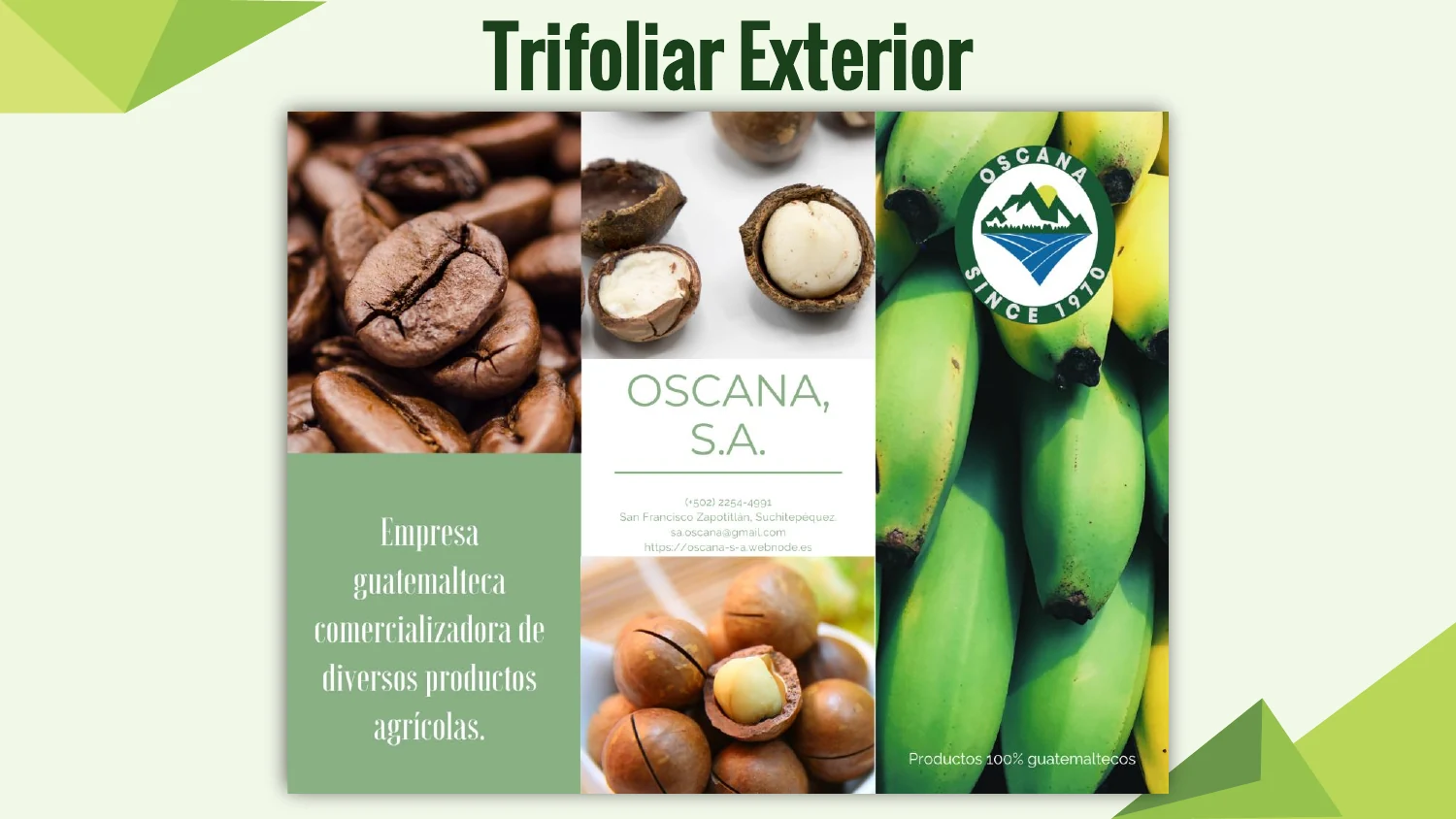 Trifoliar de Oscana